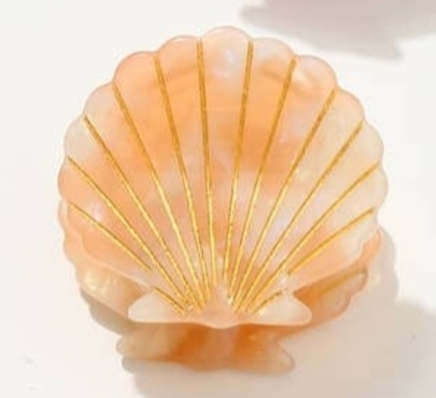 Mini Seashell Hair Clips